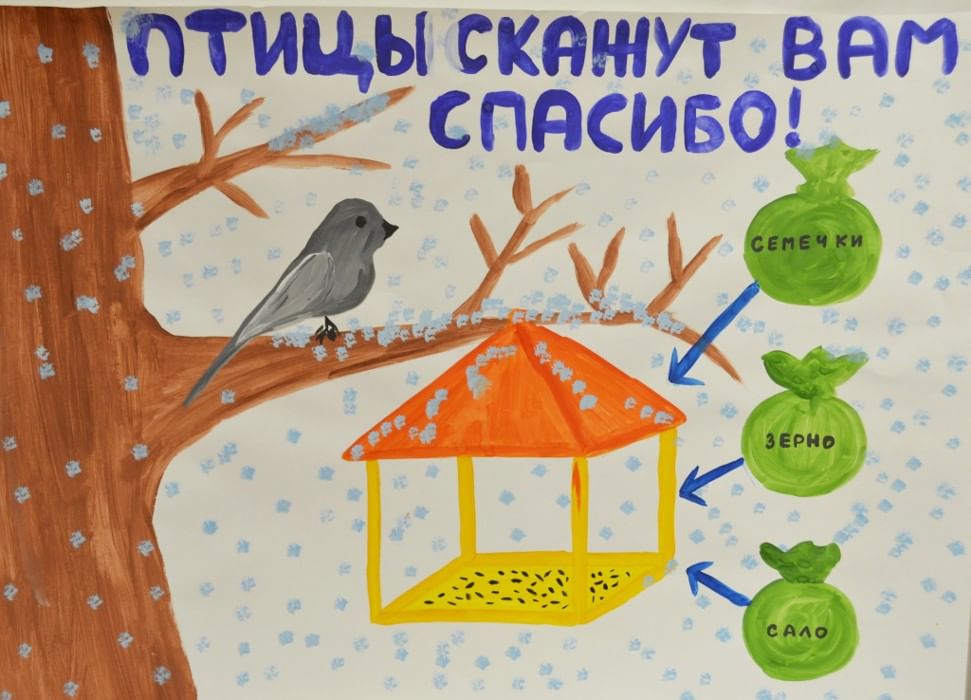 Картинки зимующих птиц в белгороде Картинки зимующих птиц в белгороде