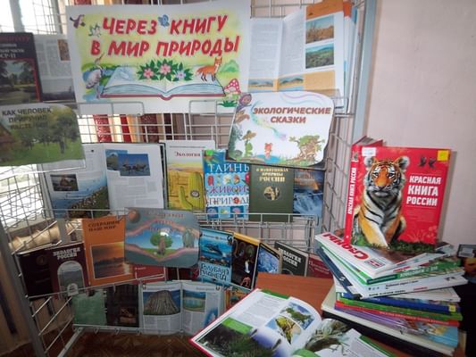 Через книгу в мир природу картинки Через книгу в мир природу картинки