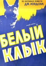 Белый клык