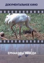 Ермаковы лебеди