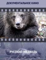 Русский медведь