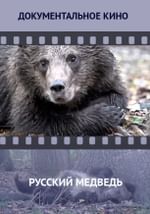 Русский медведь