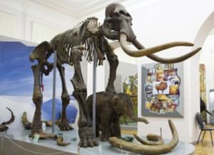 Астраханский краеведческий музей