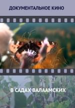 В садах Валаамских
