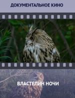 Властелин ночи