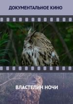 Властелин ночи