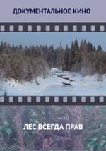 Лес всегда прав
