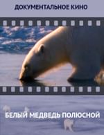 Белый медведь полюсной