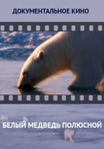 Белый медведь полюсной
