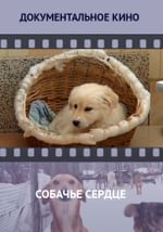 Собачье сердце