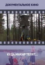 Куда Макар телят…