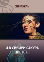 И в Сибири сакура цветет...