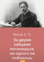 За двумя зайцами погонишься, ни одного не поймаешь