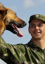 Солдаты наши меньшие