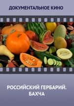 Российский гербарий. Бахча