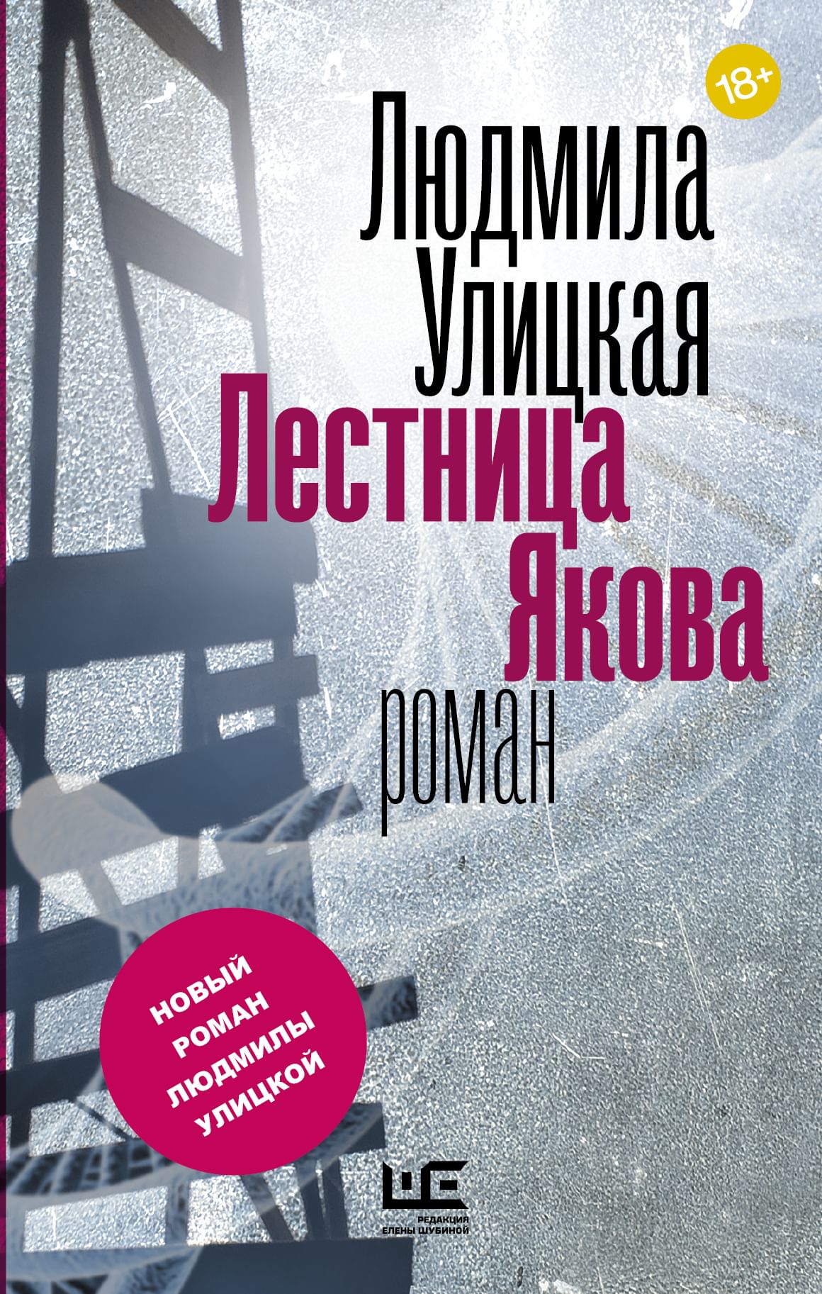 Зимняя дорога» Юзефовича, «Крепость» Алешковского, «Авиатор» Водолазкина,  «Лестница Якова» Улицкой.