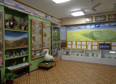 Постоянная экспозиция «Зал природы»