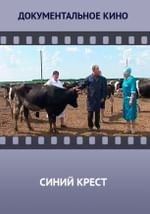 Синий крест