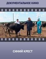 Синий крест