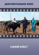 Синий крест