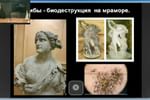 Методы биологического контроля, исследований и анализа в музейной работе